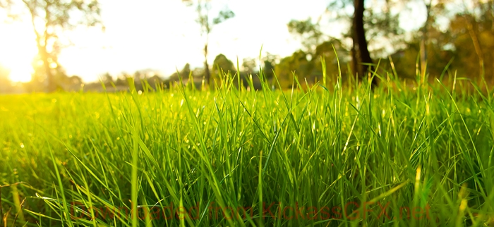 短信验证码轰炸平台免费